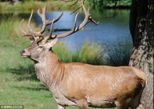 article-0-1C49273D00000578-824_634x449